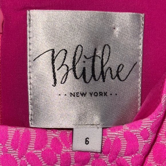 Blithe New York Barbie Pink Dress with Zip Back Size 6 NWT - Picture 4 of 9